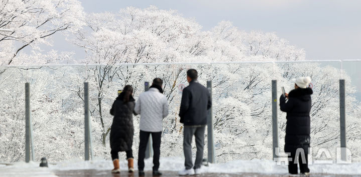 [서울=뉴시스] 김선웅 기자 = 14일 서울 남산공원 나무에 밤사이 내린 눈이 쌓여 있다. 2025.12.14. mangusta@newsis.com