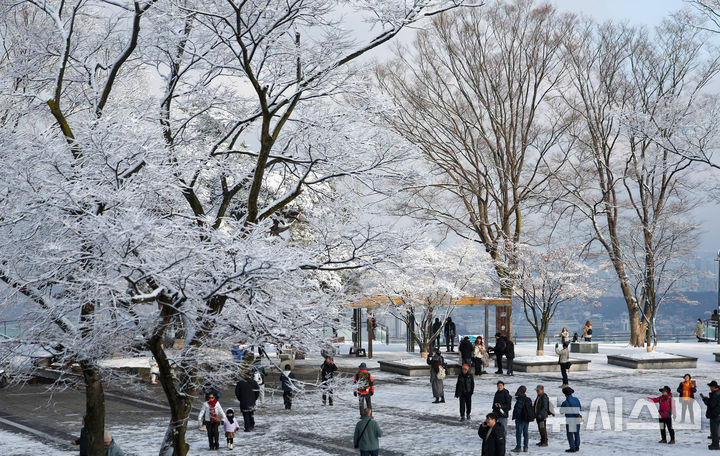 [서울=뉴시스] 김선웅 기자 = 14일 서울 남산공원 나무에 밤사이 내린 눈이 쌓여 있다. 2025.12.14. mangusta@newsis.com