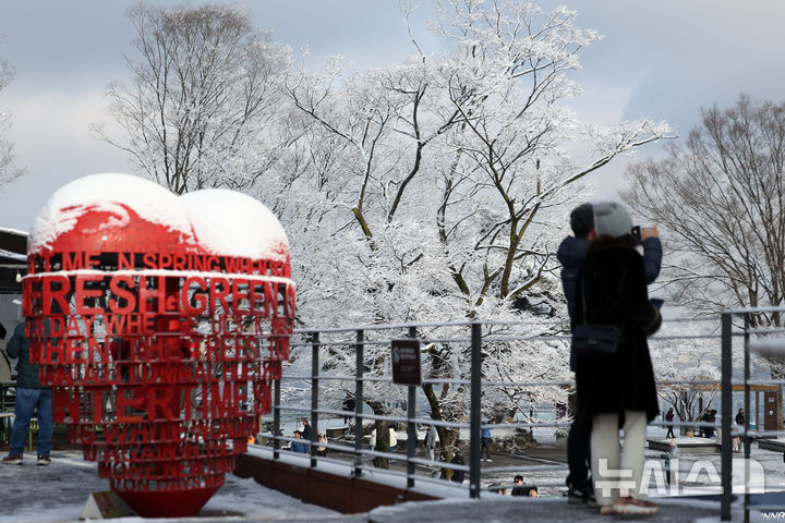 [서울=뉴시스] 김선웅 기자 = 14일 서울 남산공원 나무에 밤사이 내린 눈이 쌓여 있다. 2025.12.14. mangusta@newsis.com