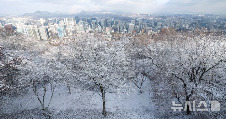 [서울=뉴시스] 김선웅 기자 = 14일 서울 남산공원 나무에 밤사이 내린 눈이 쌓여 있다. 2025.12.14. mangusta@newsis.com