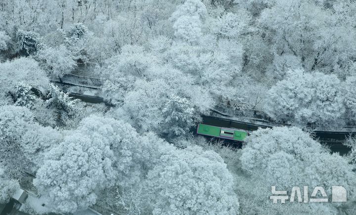[서울=뉴시스] 김선웅 기자 = 14일 서울 남산공원 나무에 밤사이 내린 눈이 쌓여 있다. 2025.12.14. mangusta@newsis.com