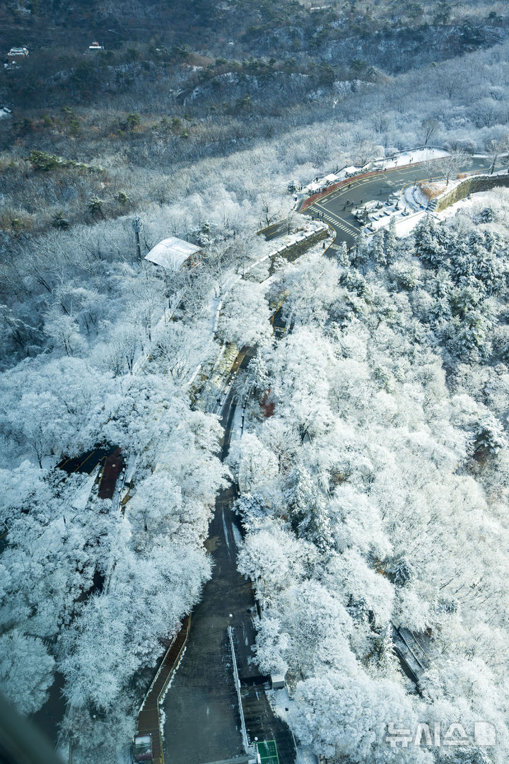 [서울=뉴시스] 김선웅 기자 = 14일 서울 남산공원 나무에 밤사이 내린 눈이 쌓여 있다. 2025.12.14. mangusta@newsis.com