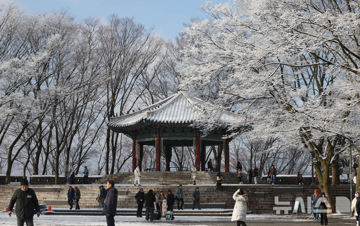 [서울=뉴시스] 김선웅 기자 = 14일 서울 남산공원 나무에 밤사이 내린 눈이 쌓여 있다. 2025.12.14. mangusta@newsis.com