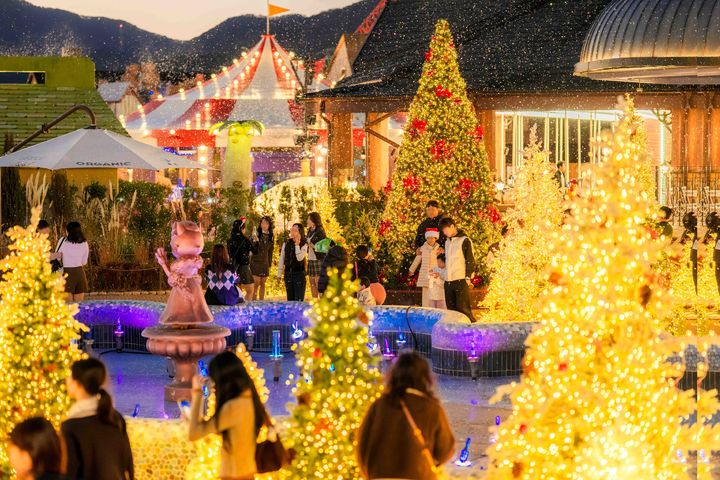 [부산=뉴시스] 롯데월드 어드벤처 부산 겨울 시즌 트리 가든 (사진=롯데월드 어드벤처 부산 제공) 2025.12.15. photo@newsis.com *재판매 및 DB 금지