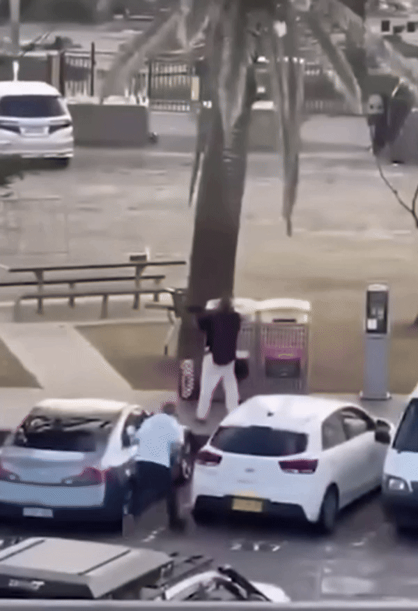 [뉴시스] 호주 본다이 비치에서 발생한 무차별 총격 사건으로 최소 16명이 숨진 가운데, 총격범에게 맨몸으로 달려들어 저지한 한 남성이 주목받고 있다. (사진 = 유튜브 갈무리) 2025.12.15. *재판매 및 DB 금지