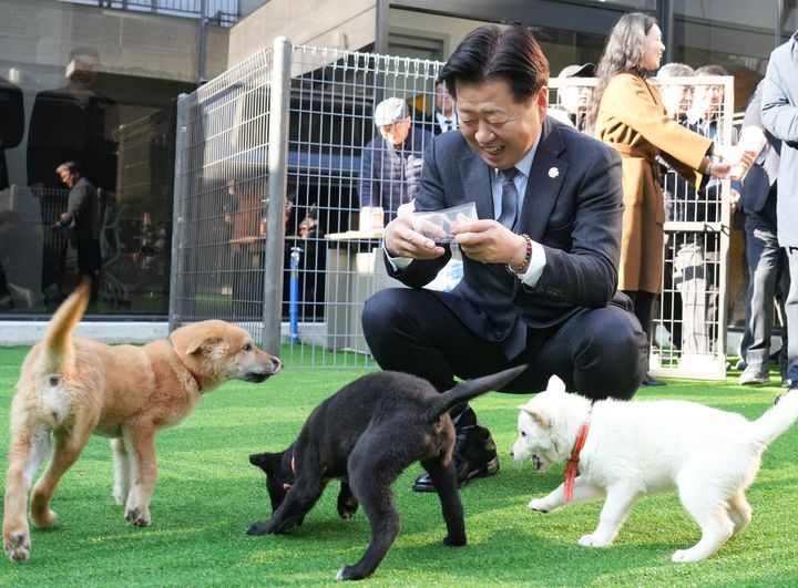 [제주=뉴시스] 오영훈 제주지사가 15일 오전 제주시 애월읍에서 열린 제2동물보호센터 개관식에서 강아지 간식을 주고 있다. (사진=제주도 제공) 2025.12.15. photo@newsis.com *재판매 및 DB 금지