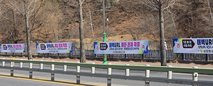 태백시 상장동주민자치센터 인근 도로변에 동일한 내용의 환영 현수막 17개가 나란히 부착되어 있다.(사진=뉴시스) *재판매 및 DB 금지