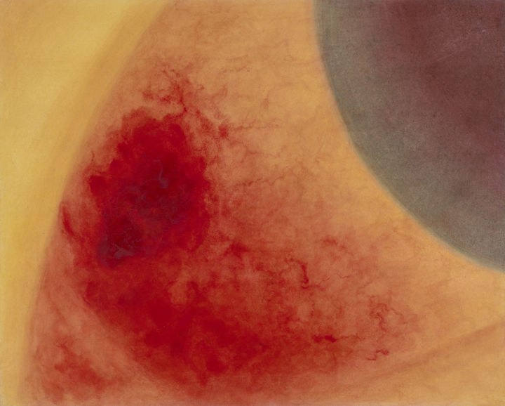 이은실, 고군분투 Struggle, 2025, Ink and color on paper, 130 x 162 cm *재판매 및 DB 금지