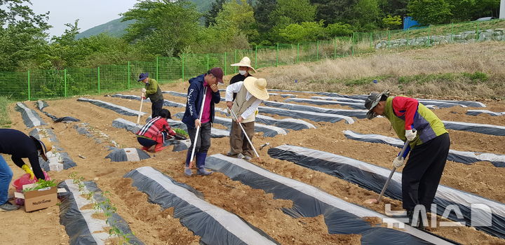 [영천=뉴시스] 경북 영천시 체류형 농업창업지원센터 교육생들의 텃밭 실습. (사진=영천시 제공) 2025.12.16. photo@newsis.com&nbsp; 