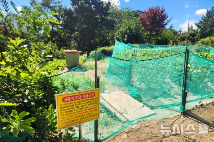 [포항=뉴시스] 송종욱 기자 = 포항시 공유 재산 정밀 실태 조사 현장. 2025.12.16. photo@newsis.com