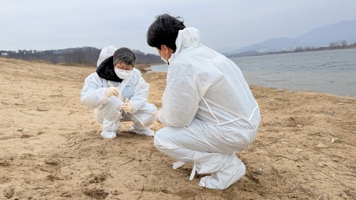 [대구=뉴시스] 조은희 대구지방환경청장은 16일 철새 도래 현황 파악 및 야생조류 분변 채집 등 조류인플루엔자(AI) 대응 상황을 점검하기 위해 겨울철 주요 철새도래지인 지산샛강과 해평습지(낙동강) 일대를 방문했다. (사진=대구지방환경청 제공) 2025.12.16. photo@newsis.com *재판매 및 DB 금지