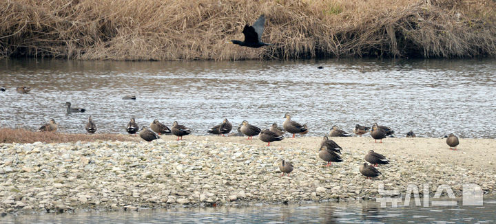 울산 낮 최고 14도 '포근'…건조주의보 발효