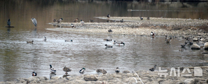 22일 대구·경북 다시 강추위…아침 기온 뚝, 영하 12도