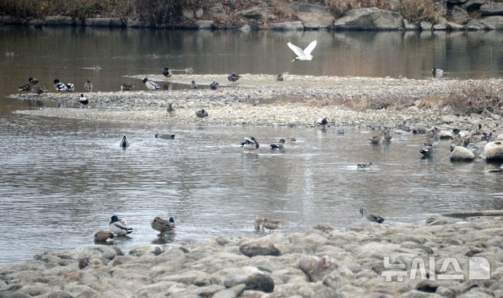 울산, 흐리다가 오후부터 맑음…최저 5도·최고 12도