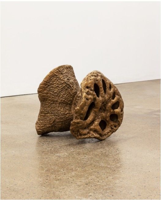 로터스 강, 〈Root〉 2022 Cast bronze Courtesy of the artist 사진: LF Documentation 이미지 제공: 국제갤러리 *재판매 및 DB 금지