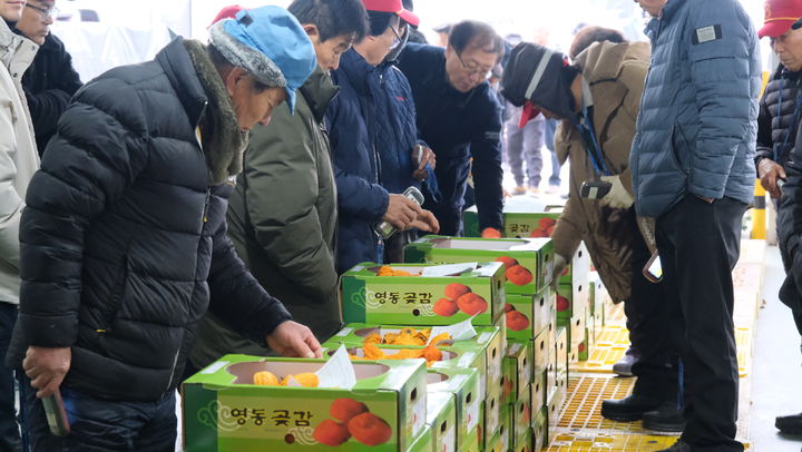 영동군 황간면 곶감 경매시장 *재판매 및 DB 금지