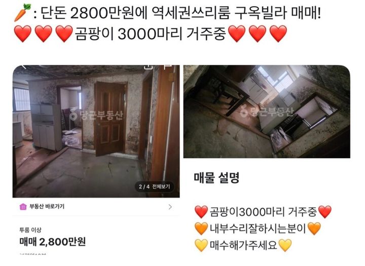 [뉴시스] 중고 거래 플랫폼 당근마켓의 부동산 코너에 이른바 '미친 매물'이 등장해 온라인에서 화제가 되고 있다. (사진='루리웹' 갈무리) *재판매 및 DB금지 *재판매 및 DB 금지