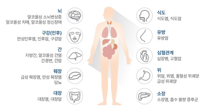[부산=뉴시스] 장기별로 살펴보는 알코올의 영향 (사진=동남권원자력의학원 제공) 2025.12.17. photo@newsis.com *재판매 및 DB 금지