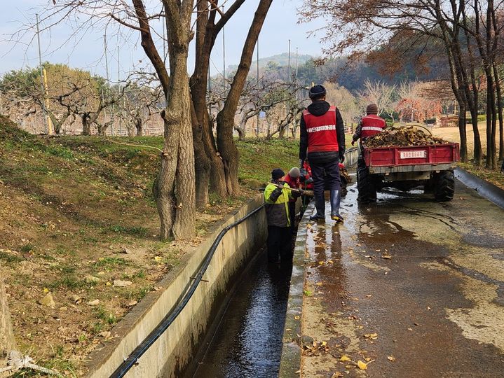 [창원=뉴시스] 강경국 기자 = 경남 창원시 단감테마공원 일원에서 월동 대비 작업이 진행되고 있다. (사진=창원시청 제공). 2025.12.17. photo@newsis.com *재판매 및 DB 금지