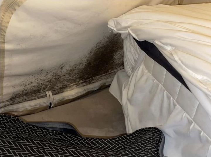 [뉴시스] 경기 가평군에 위치한 글램핑장을 찾았다가 심각한 위생 상태에 충격을 받고, 곧바로 집으로 돌아왔다는 남성의 사연이 전해지며 누리꾼들의 공분을 사고 있다. (사진=보배드림 캡처) *재판매 및 DB 금지