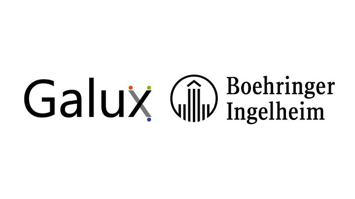 [서울=뉴시스] 갤럭스와 베링거인겔하임 로고. (사진=갤럭스 제공) 2025.12.18. photo@newsis.com *재판매 및 DB 금지