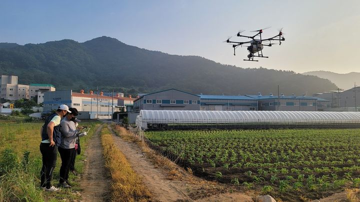 [부산=뉴시스] 부산 청년농업인 드론영농단의 고령농가 무상방제 봉사활동 모습. (사진=부산시 제공) 2025.12.18. photo@newsis.com *재판매 및 DB 금지