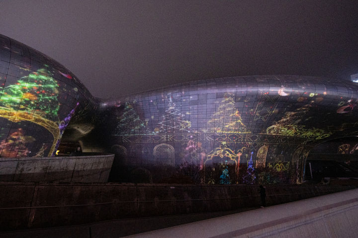 서울라이트 ddp 2025 겨울. DDP Luminarie *재판매 및 DB 금지