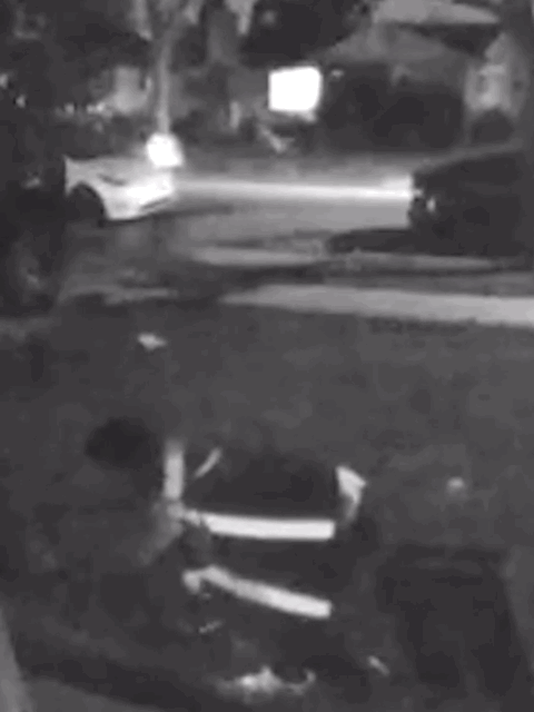 [서울=뉴시스] 미국 LA의 한 가정에서 택배기사가 반려묘를 쓰다듬다가 들어올려 현장을 떠나는 장면이 인근 CCTV에 촬영됐다. (사진출처: 더선 캡처) 2025.12.17. *재판매 및 DB 금지