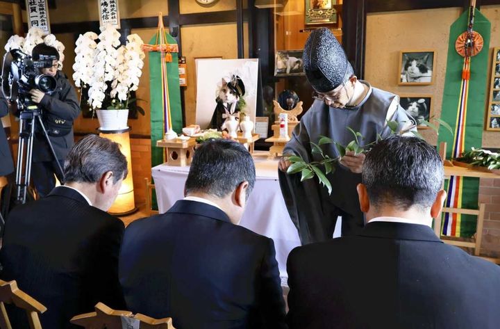 [뉴시스] 고양이 니타마를 기리기 위해 약 500명의 팬과 관계자가 장례식에 참석했다. 참석자들이 장례 절차에 따르고 있는 모습. (사진 = 재팬뉴스 캡처) 2025.12.18. *재판매 및 DB 금지