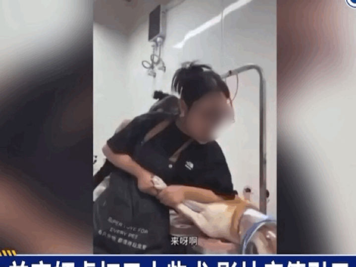 중국에서 한 애완동물 미용사가 반일 감정을 이유로 일본 혈통의 시바견을 상대로 폭행과 모욕적인 발언을 하는 모습이 담긴 영상이 공개되면서 논란이 확산되고 있다.(사진=민시 캡처) *재판매 및 DB 금지