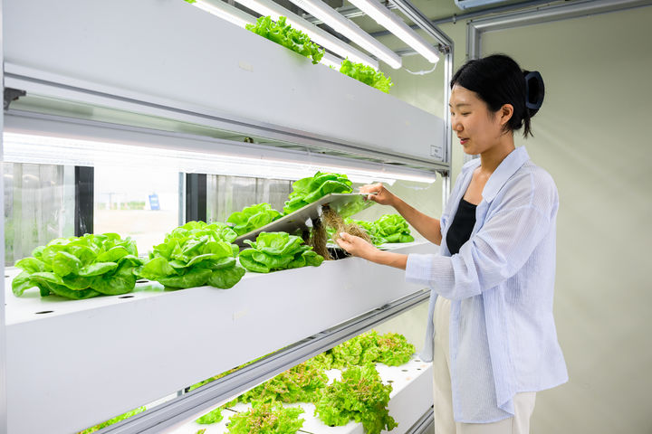 [부산=뉴시스] 도시농사꾼 농업회사법인의 냉동 컨테이너 스마트팜 (사진=부산경제진흥원 제공) 2025.12.19. photo@newsis.com *재판매 및 DB 금지