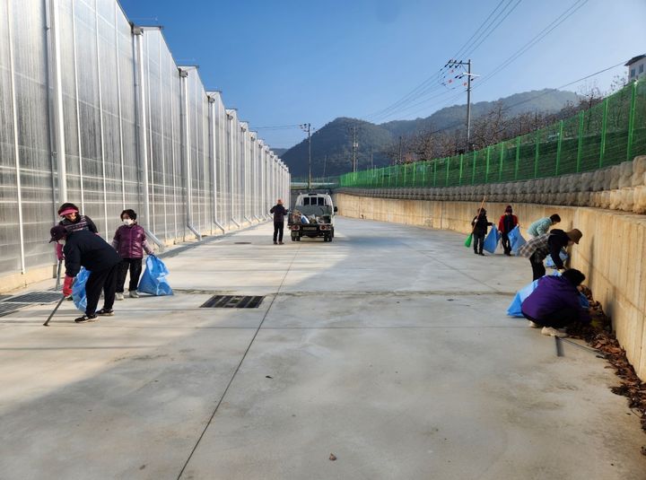 [봉화=뉴시스] 봉화군 봉성면 창평리 부녀회원들이 스마트팜 주변을 청소하고 있다. (사진=봉화군 제공) 2025.12.19. photo@newsis.com *재판매 및 DB 금지