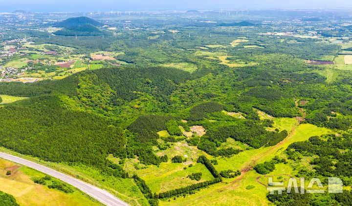 [제주=뉴시스] 임재영 기자 = 유네스코(UNESCO) 세계자연유산 핵심 구역인 제주시 조천읍 거문오름. (사진=뉴시스 DB) ijy788@newsis.com