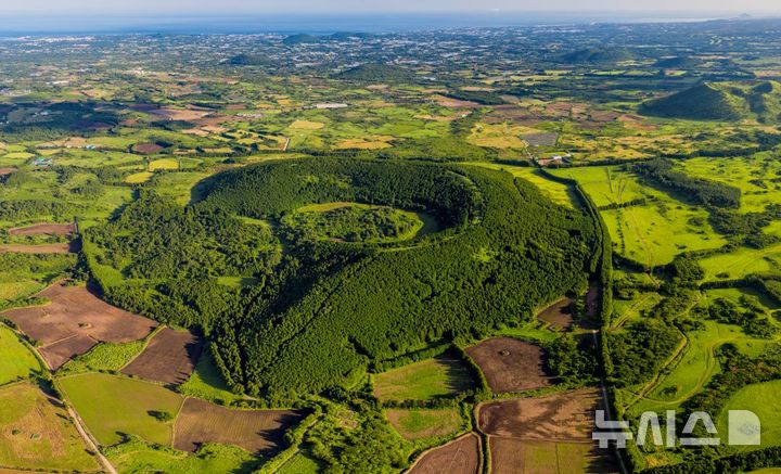 [제주=뉴시스] 임재영 기자 = 제주 동부지역 모지오름. 오른쪽으로는 용눈이오름이 보인다. (사진=뉴시스 DB) ijy788@newsis.com