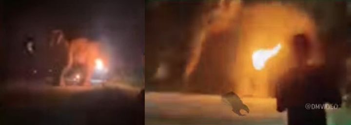 [서울=뉴시스] 스리랑카 남성 세 명이 야생 코끼리를 산 채로 불태우고 이 모습을 담은 영상을 SNS에 유포한 혐의로 경찰에 체포됐다.(사진출처: 데일리메일 캡처)2025.12.19
