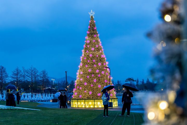 [순천=뉴시스] 순천만국가정원 호수정원에 세운 대형 트리. (사진=순천시 제공) 2025.12.19. photo@newsis.com *재판매 및 DB 금지