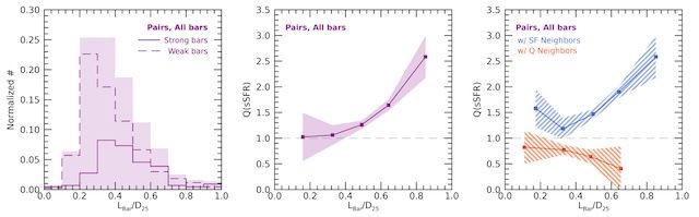 [서울=뉴시스] 세종대 지웅대 교수 연구팀에서 은하 중심 막대 구조의 길이와 각 은하의 별 형성율을 비교한 그래프. (사진=세종대 제공) 2025.12.19. photo@newsis.com *재판매 및 DB 금지