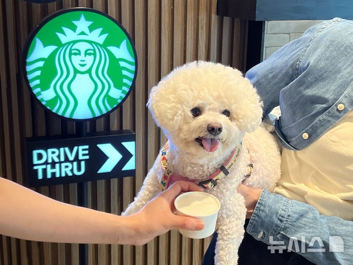 [서울=뉴시스] 스타벅스 구리갈매DT점에서 '퍼푸치노'를 즐기는 반려견과 고객 이미지. (사진=스타벅스 제공) 2025.12.19. photo@newsis.com