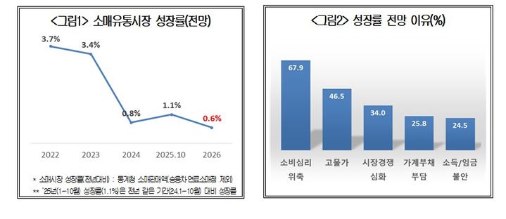 [서울=뉴시스] 대한상공회의소(대한상의)가 전국 소매유통업체 300개를 대상으로 실시한 ‘2026년 유통산업 전망 조사' 결과. (자료=대한상의 제공) photo@newsis.com *재판매 및 DB 금지