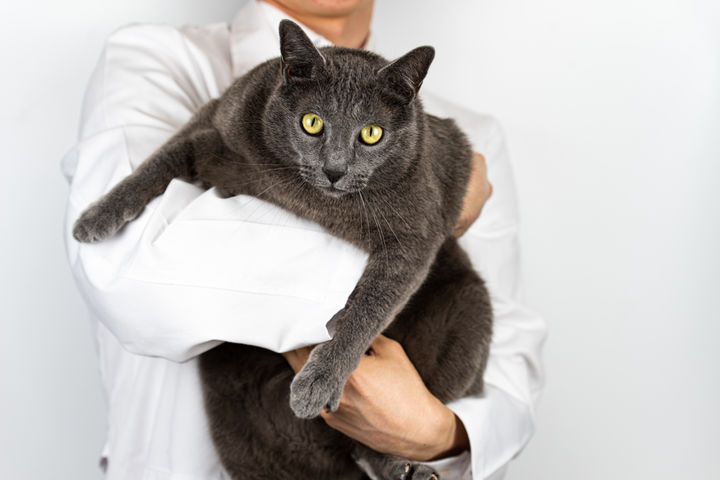 [뉴시스] 사진은 본 기사의 이해를 돕기 위한 이미지. 2025.12.21. *재판매 및 DB금지 *재판매 및 DB 금지