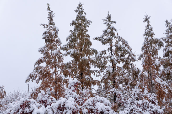 본 사진은 기사 내용과 직접적인 관계가 없음.(사진=유토이미지)2025.12.19. *재판매 및 DB 금지 *재판매 및 DB 금지