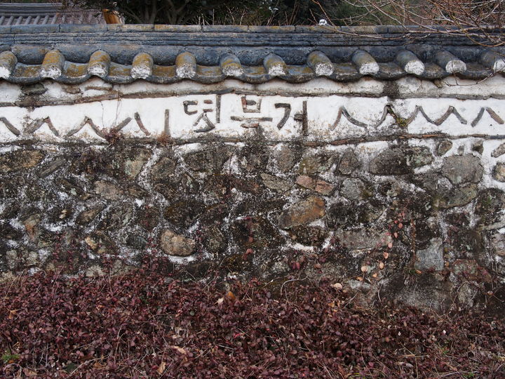 [서울=뉴시스] 보성 봉강리 영광정씨 고택 담장 거북정 와편 장식 (사진=국가유산청 제공) 2025.12.22. photo@newsis.com *재판매 및 DB 금지