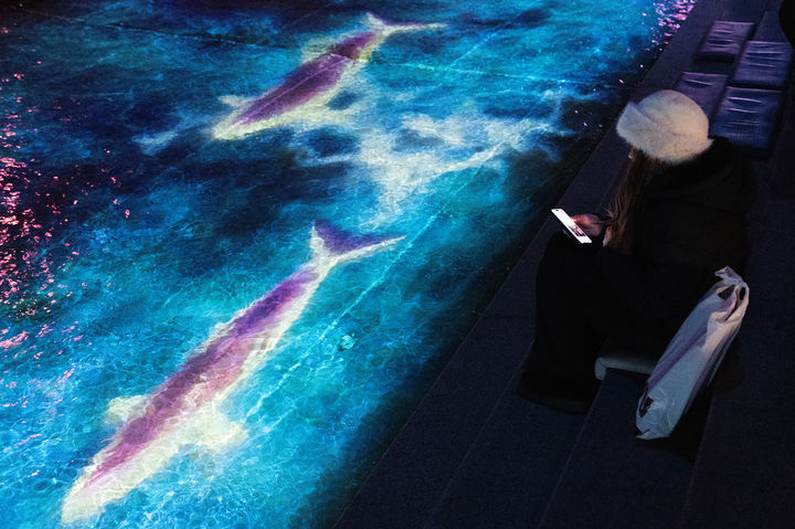 '청계 소울 오션'을 관람하는 관광객. (사진=서울관광재단) *재판매 및 DB 금지