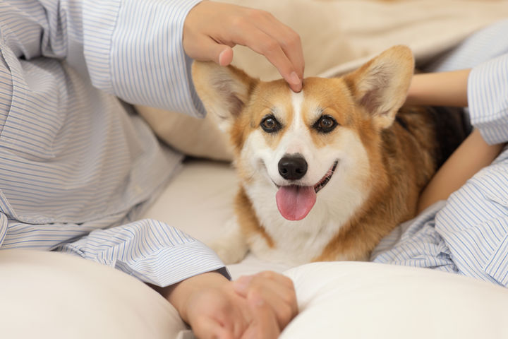 [서울=뉴시스]사진은 기사 내용과 직접적인 관계 없음. (사진출처: 유토이미지) 2025.12.22.