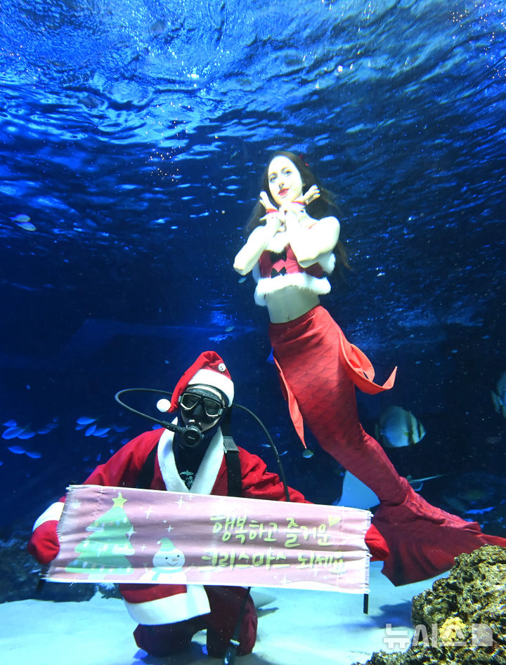 [수원=뉴시스] 김종택 기자 = 22일 경기 수원시 영통구 아쿠아플라넷 광교에서 산타 복장을 한 아쿠아리스트가 크리스마스 인사를 하고 있다. 2025.12.22. jtk@newsis.com