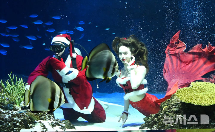 [수원=뉴시스] 김종택 기자 = 22일 경기 수원시 영통구 아쿠아플라넷 광교에서 산타 복장을 한 아쿠아리스트가 크리스마스 인사를 하고 있다. 2025.12.22. jtk@newsis.com