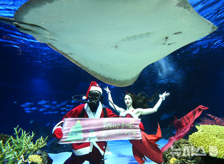 [수원=뉴시스] 김종택 기자 = 22일 경기 수원시 영통구 아쿠아플라넷 광교에서 산타 복장을 한 아쿠아리스트가 크리스마스 인사를 하고 있다. 2025.12.22. jtk@newsis.com