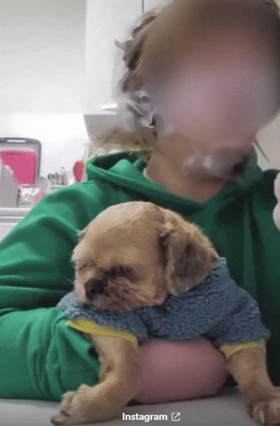 [뉴시스]여성이 강아지 얼굴에 담배 연기를 내뿜고 입에 담배를 가져다 대는 시늉을 하는 등 학대를 하고 있다. (영상 = 스레드 갈무리) *재판매 및 DB 금지