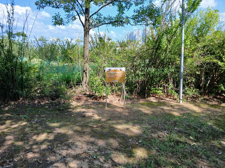 [대전=뉴시스] 대전 유성구 은구비공원에 설치된 맹꽁이 서식처 보호 안내판. (사진=우성구 제공) 2025.12.23. photo@newsis.com&nbsp; *재판매 및 DB 금지