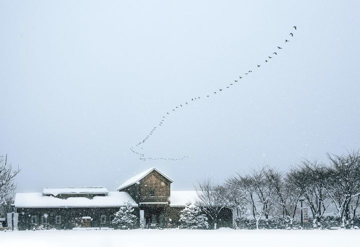[서울=뉴시스] 매일유업의 관계사인 농어촌 체험형 테마공원 상하농원이 겨울 프로그램을 선보인다고 23일 밝혔다. (사진=상하농원 제공) 2025.12.23. photo@newsis.com *재판매 및 DB 금지